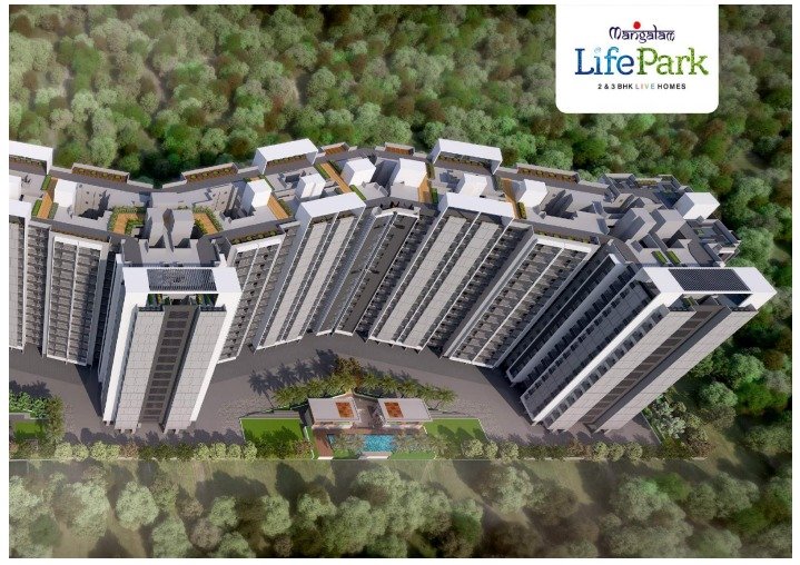 WhatsApp-Image-2026-03-07-at-8.55.00-PM